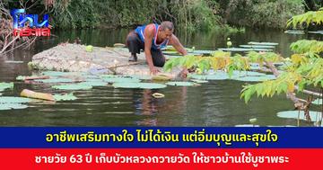ชายวัย 63 ปี เก็บบัวหลวงถวายวัด ให้ชาวบ้านใช้กราบไหว้บูชาพระ