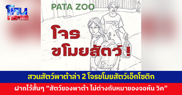 สวนสัตว์พาต้าโพสต์ล่า 2 โจรชายหญิงขโมย 'กิ้งก่าจระเข้จีน-ซาลาแมนเดอร์ลายเสือ'