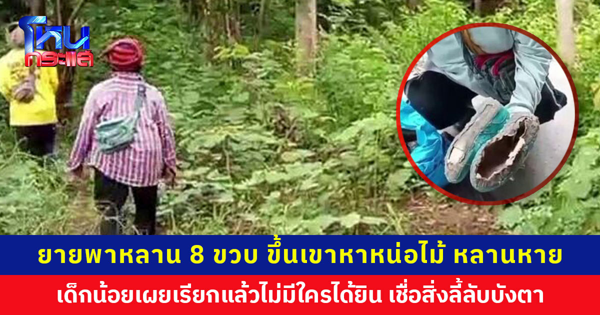 ยายพาหลาน 8 ขวบ ขึ้นเขาหาหน่อไม้ หลานหาย ตามหาวุ่น เด็กน้อยเผยเรียกแล้วแต่ไม่มีใครได้ยิน เชื่อโดนเจ้าป่าเจ้าเขาบังตา