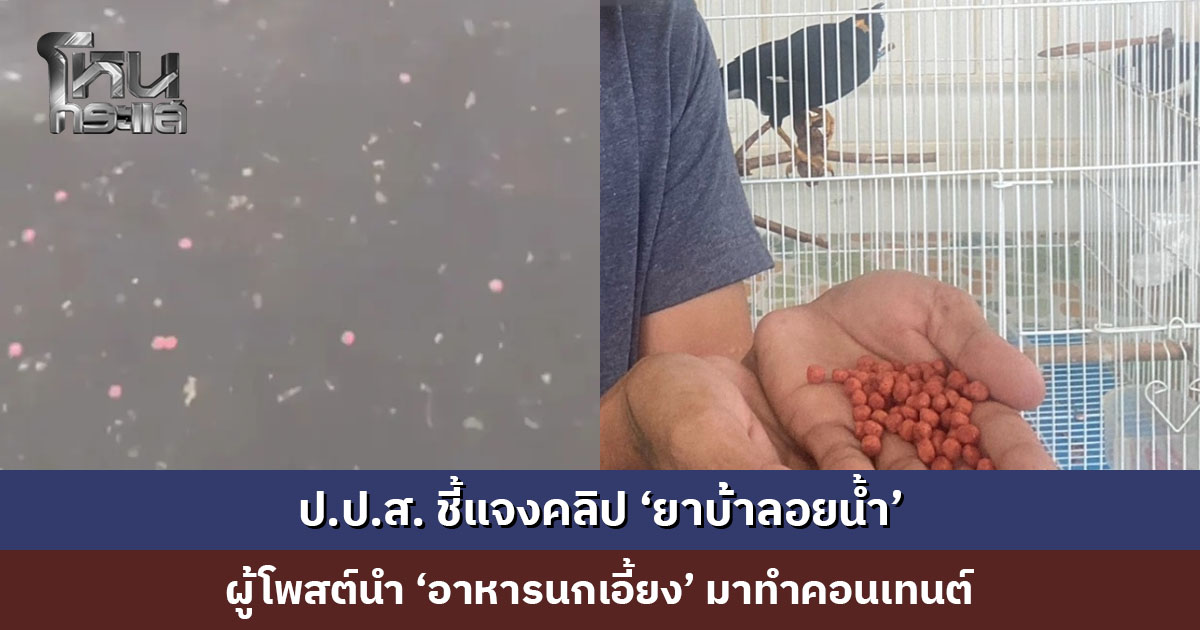 ป.ป.ส. ชี้แจงคลิป ‘ยาบ้าลอยน้ำ’ ยืนยันไม่ใช่ยาเสพติด เป็นอาหารนกเอี้ยงที่ถูกนำมาสร้างคอนเทนต์