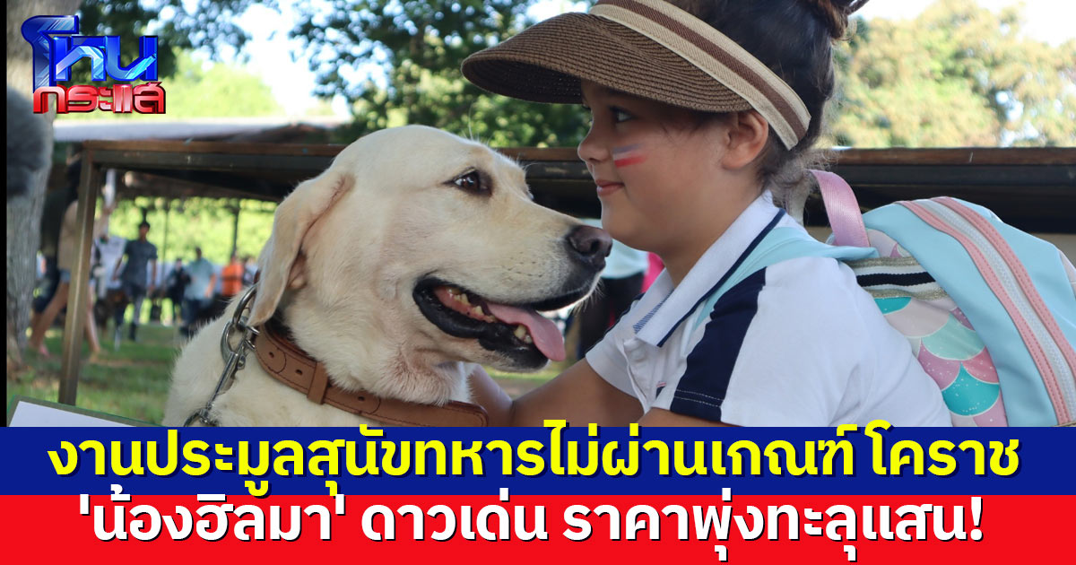 คึกคัก! งานประมูลสุนัขทหารไม่ผ่านเกณฑ์ ที่โคราช ปชช.แห่ร่วม 'น้องฮิลมา' ดาวเด่น ราคาพุ่ง 1.2 แสนบาท