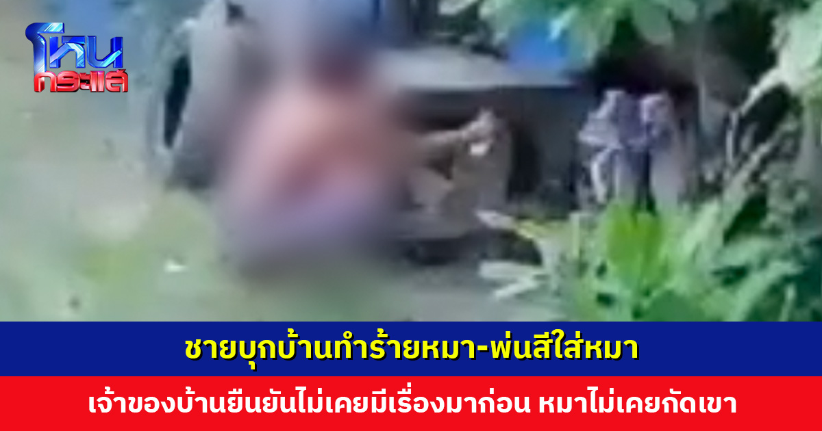 เจ้าของบ้านผวา! ชายบุกบ้านบอก “ขอดูหมาหน่อย หมาดุหรอ” ก่อนเข้ามาทำร้ายหมา พ่นสีใส่