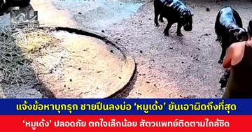 สวนสัตว์เปิดเขาเขียวแจ้งข้อหาบุกรุก ชายปีนลงบ่อ ‘หมูเด้ง’ ยันเอาผิดถึงที่สุด