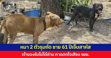 สุนัข 2 ตัวรุมกัด ชาย 61 ปีเจ็บสาหัส เจ้าของรับไม่ได้ล่าม คาดตกใจเสียง จยย.