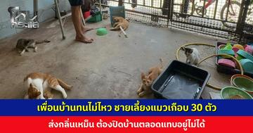 เพื่อนบ้านทนไม่ไหว ชายเลี้ยงแมวเกือบ 30 ตัว ส่งกลิ่นเหม็น ต้องปิดบ้านตลอด คนป่วยต้องย้ายหนี