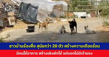 ชาวบ้านร้องสื่อ สุนัขกว่า 20 ตัว สร้างความเดือดร้อน มีคนให้อาหาร-สร้างเพิงพักให้ แต่บอกไม่มีเจ้าของ