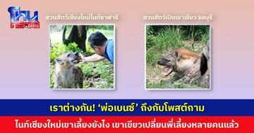 ‘พ่อเบนซ์’ ถึงกับโพสต์ถาม ไนท์เชียงใหม่เขาเลี้ยงยังไง ที่เขาเขียวเปลี่ยนพี่เลี้ยงไฮยีน่าไปหลายคนแล้ว