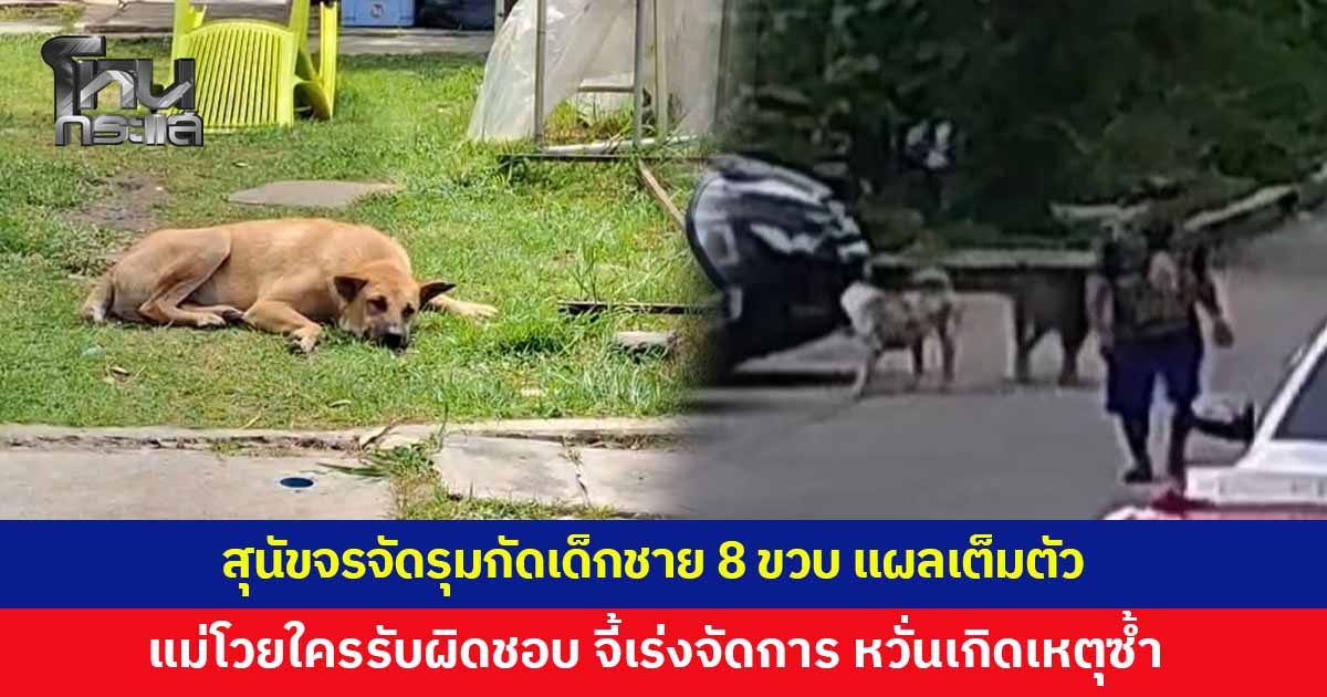 สุนัขจรจัด รุมกัดเด็กชาย 8 ขวบ บาดแผลเต็มตัว แม่โวยใครรับผิดชอบ วอนหน่วยงานเร่งแก้ปัญหา หวั่นเกิดเหตุซ้ำอีก ล่าสุดเขตประสานจับสุนัขล็อตแรกแล้ว