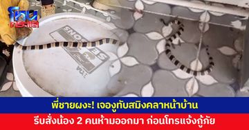 พี่ชายผงะ! เจองูทับสมิงคลาหน้าบ้าน รีบสั่งน้อง 2 คนห้ามออกมา ก่อนโทรแจ้งกู้ภัย