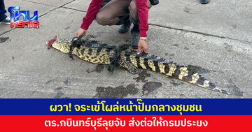 ผวา! จระเข้โผล่หน้าปั๊มกลางชุมชนกบินทร์บุรี ปราจีนบุรี ตำรวจลุยจับ