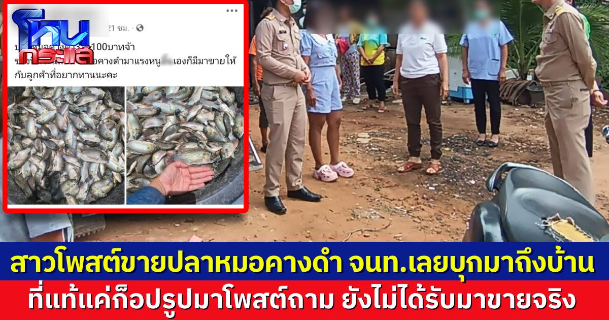 สาวโพสต์ภาพปลาหมอคางดำเต็มกะละมัง ประกาศขายในโซเชียล ทำวุ่นทั้งอำเภอ เจ้าหน้าที่บุกถึงบ้าน เจ้าตัวแจง แค่ก็อปรูปมา ยังไม่ได้รับมาขายจริง
