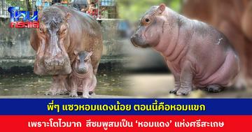 โตไวมากไอ้ต้าว... พี่ๆ ชาวเน็ตแซว จาก ‘หอมแดงน้อยๆ’ ตอนนี้กลายเป็นหอมแขกหัวใหญ่แล้วนะ