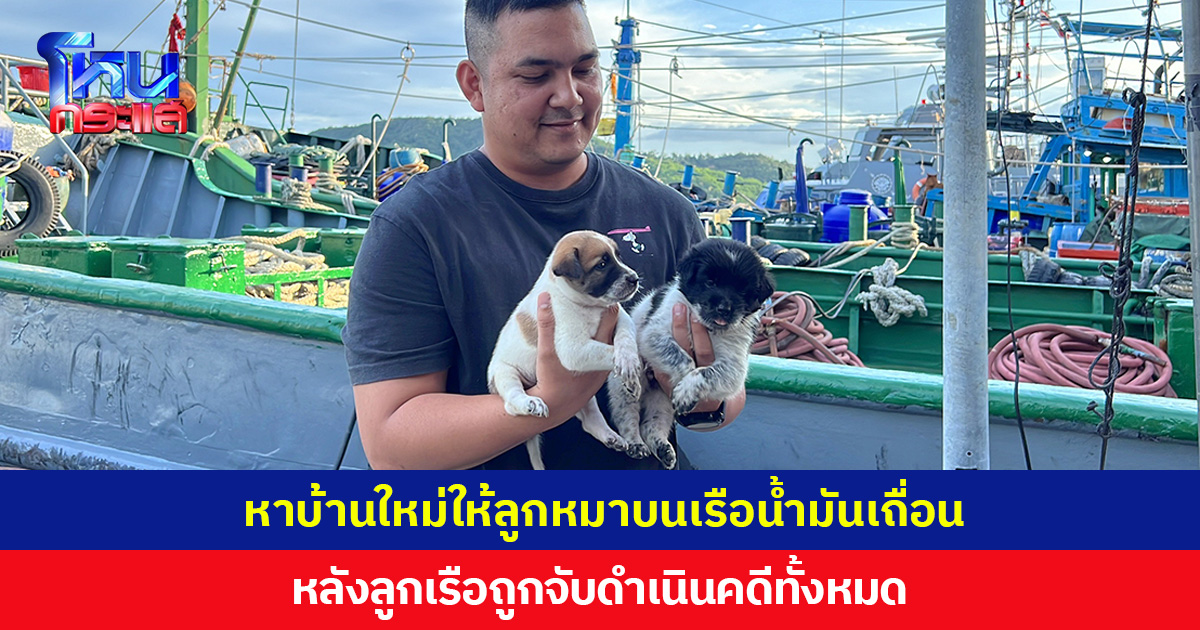 หาบ้านใหม่ให้ลูกหมาบนเรือน้ำมันเถื่อน