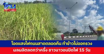 ชาวนาโอด แสงไฟถนนสาดตลอดคืน ทำข้าวไม่ออกรวง ผลผลิตลดกว่าครึ่ง วอนปิดไฟ 15 วัน