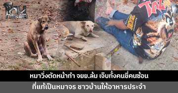 หมาวิ่งตัดหน้าทำจักรยานยนต์ล้ม เจ็บทั้งคนขี่คนซ้อน สุดท้ายรู้เป็นหมาจร ไร้เจ้าของ