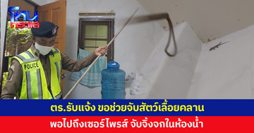 ตร.รับแจ้งขอความช่วยเหลือจับสัตว์เลื้อยคลาน พอไปถึงเซอร์ไพรส์ ให้จับจิ้งจก