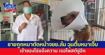 ชายถูกหมาวิ่งตัดหน้าจยย.ล้ม ก่อนลงมากระทืบหมาเจ็บ เจ้าของโร่แจ้งความ เจอโพสต์ขู่