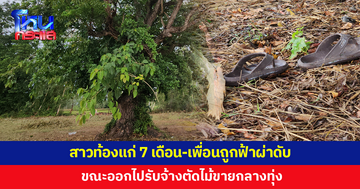 สาวท้องแก่ 7 เดือน-เพื่อนถูกฟ้าผ่าดับ ขณะออกไปรับจ้างตัดไม้ขาย