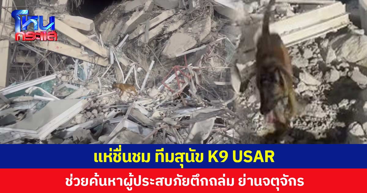 แห่ชื่นชม ทีมสุนัข K9 USAR ช่วยค้นหาผู้ประสบภัยตึกถล่ม ย่านจตุจักร