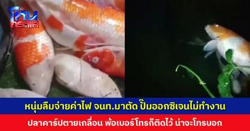 ลืมจ่ายค่าไฟ จนท.มาตัด ปั๊มออกซิเจนไม่ทำงาน ปลาคาร์ปตายเกลื่อน หนุ่มพ้อน่าจะโทรบอกกันบ้าง