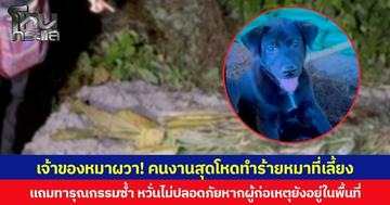 เจ้าของหมาผวา! คนงานสุดโหดทำร้ายหมาที่เลี้ยง แถมทารุณกรรมซ้ำ หวั่นไม่ปลอดภัยหากผู้ก่อเหตุยังอยู่ในพื้นที่
