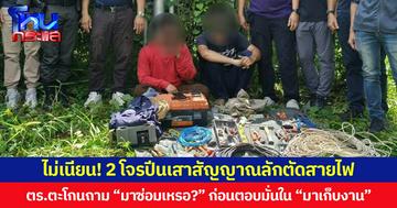 ไม่เนียน! 2 โจรปีนเสาสัญญาณลักตัดสายไฟ  ตร.ตะโกนถาม “มาซ่อมเหรอ?” คนร้ายตอบ “มาเก็บงานครับ” ลงจากเสาโดนรวบทันที