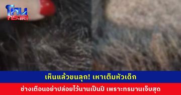 เจ้าของร้านตัดผมวอนผู้ปกครองดูแลลูกหลาน อย่าปล่อยให้เหาขึ้นนานเป็นปี เพราะหากปักลงหนังศีรษะแล้วจะเจ็บแสบสุดทรมาน