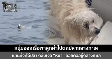 หนุ่มออกเรือพาลูกค้าไปตกปลากลางทะเล  แทนที่จะได้ปลา กลับเจอ “หมา” ลอยคออยู่กลางทะเล