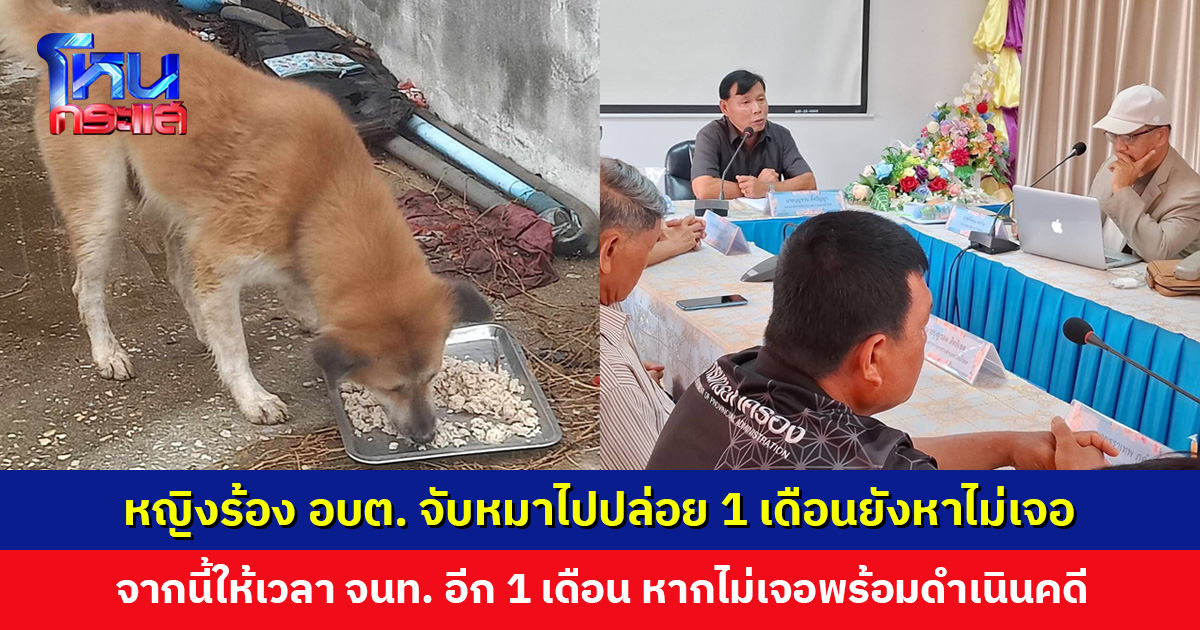 หญิงร้องชมรมจิตอาสารักษ์สัตว์ เจ้าหน้าที่ อบต. จับหมาไปปล่อย 1 เดือนยังหาไม่เจอ