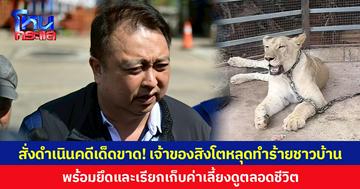 รมว.ทส. สั่งยึดสิงโตหลุดทำร้ายชาวบ้าน เอาผิดเจ้าของ ดำเนินคดีเด็ดขาด พร้อมเรียกเก็บค่าเลี้ยงดูตลอดชีวิต