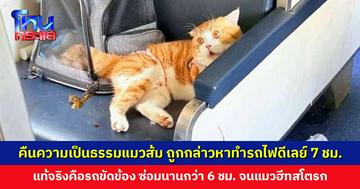 รถไฟดีเลย์กว่า 7 ชม. เหตุเพราะขบวนรถขัดข้อง ซ่อมนาน 6 ชม. จนแมวฮีทสโตรกและกัดเจ้าของ ล่าสุดปลอดภัยทั้งคู่