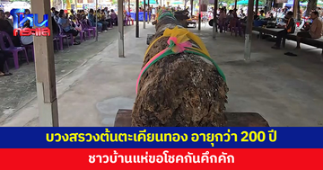 บวงสรวงต้นตะเคียนทอง 'แม่ย่าศรีจำปาทอง' อายุกว่า 200 ปี ชาวบ้านแห่ขอโชค