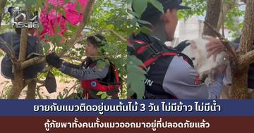 ยายกับแมวติดอยู่บนต้นไม้ 3 วัน ไม่มีข้าว ไม่มีน้ำ กู้ภัยช่วยทั้งคนทั้งแมวได้อย่างปลอดภัย