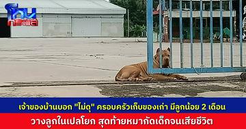 สลดใจ..แม่พาลูกวัย 2 เดือนออกไปเก็บของเก่า เจ้าของบ้านบอกหมาไม่ดุ สุดท้ายหมาวิ่งมาคาบเด็ก ออกจากเปลโยก แล้วกัดจนเด็กเสียชีวิต
