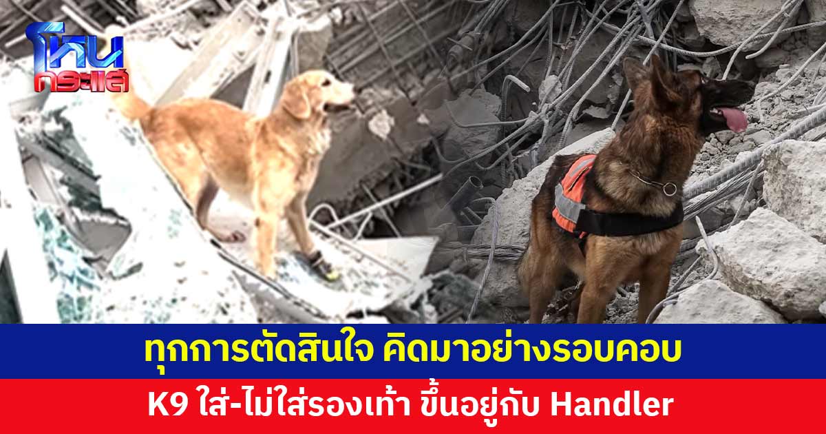 K9 ใส่หรือไม่ใส่รองเท้า? ขึ้นอยู่กับ Handler - 'น้องจิ๋ว' สุนัขทหารกองทัพบก เสริมทัพลุยภารกิจ