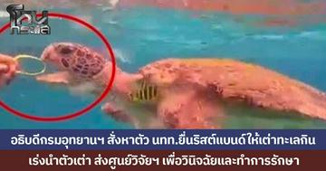 อธิบดีกรมอุทยานฯ สั่งหาตัว นทท.ป้อนริสต์แบนด์ให้เต่าทะเลกินขณะดำน้ำ พร้อมเร่งนำเต่าทะเลตัวดังกล่าว ส่งศูนย์วิจัยฯวินิจฉัยและทำการรักษา