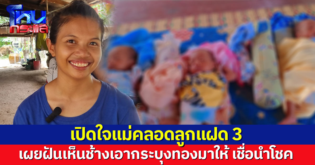 แม่คลอดลูกแฝด 3 เผยฝันก่อนตั้งครรภ์ เห็นช้างเอากระบุงทองมาให้ เชื่อเป็นสิริมงคล