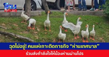 ฉุดไม่อยู่! คนแห่เกาะติดภารกิจ “ห่านเทศบาล” ร่วมส่งกำลังใจให้น้องห่านผ่านโปร