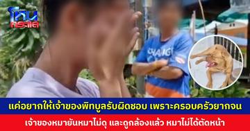 แค่อยากให้เจ้าของพิทบูลรับผิดชอบเพราะครอบครัวยากจน เจ้าของหมายันดูกล้องแล้ว หมาไม่ได้ตัดหน้า