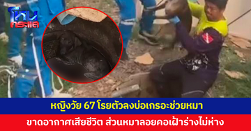 หญิงวัย 67 โรยตัวลงบ่อเกรอะช่วยหมาสุดรัก ก่อนขาดอากาศเสียชีวิต ส่วนน้องหมาลอยคอเฝ้าร่าง