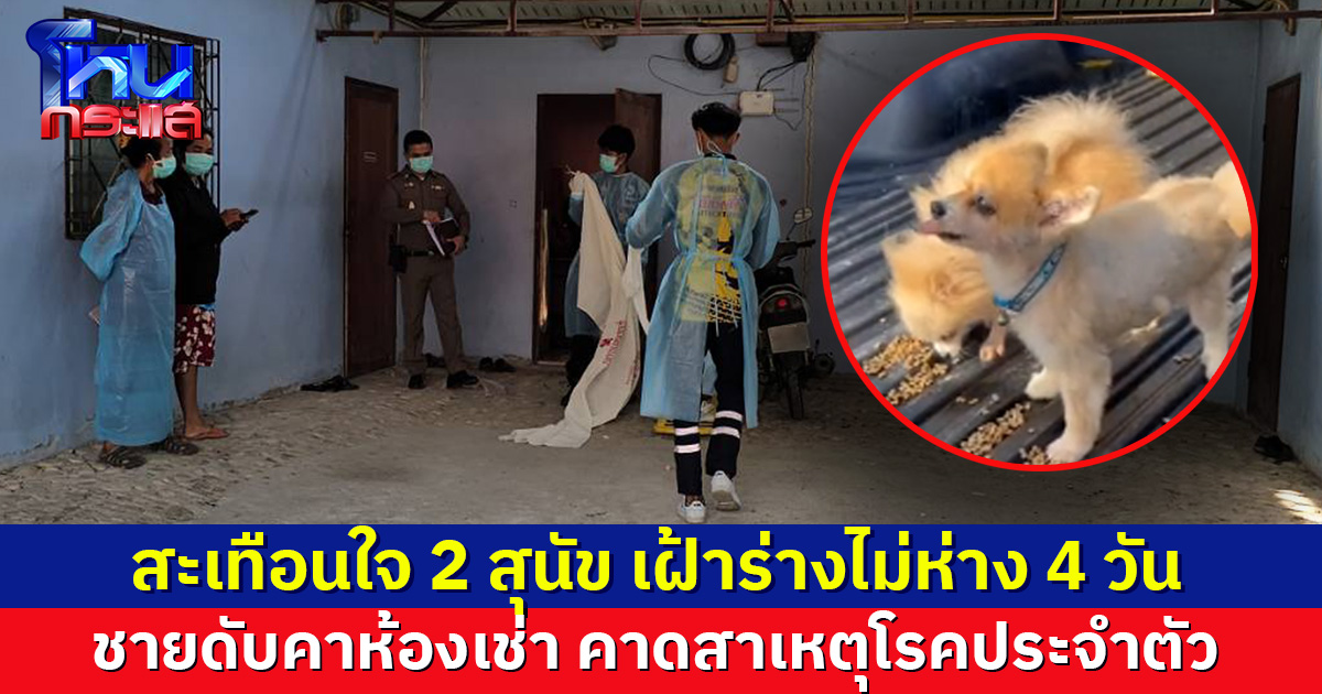 ชายดับคาห้องเช่า 2 สุนัข เฝ้าร่างไม่ห่างนาน 4 วัน ก่อนคนมาพบ คาดสาเหตุโรคประจำตัว