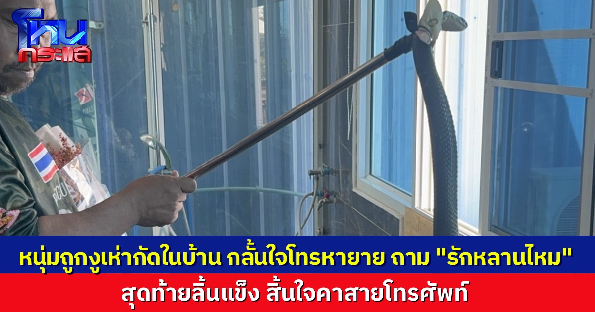 หนุ่มสมุทรปราการถูกงูเห่ากัดในบ้าน โทรหาคุณยายวัย 74 ปี ถาม "ยายรักหลานไหม" ก่อนลิ้นแข็งสิ้นใจคาสายโทรศัพท์