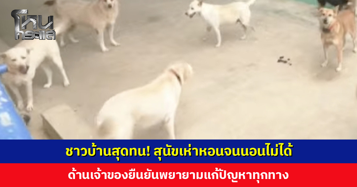 ชาวบ้านสุดทน! สุนัขเห่าหอนจนนอนไม่ได้ ด้านเจ้าของยืนยันพยายามแก้ปัญหาทุกทาง