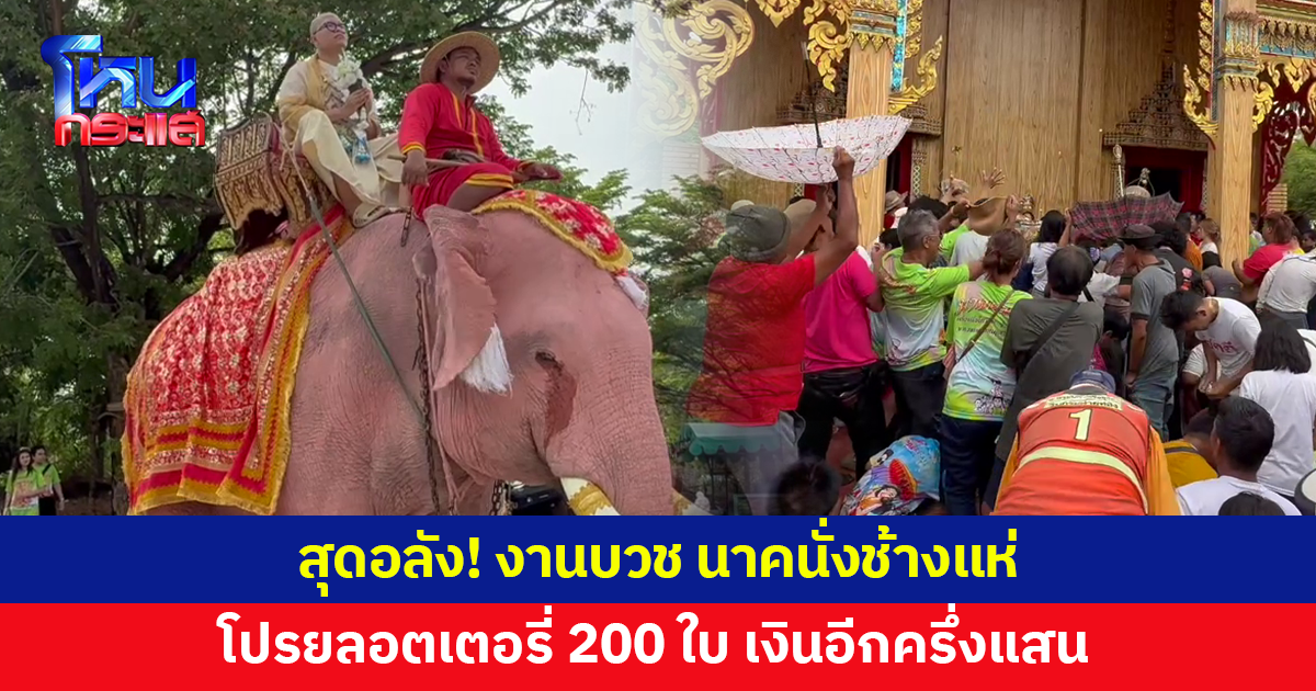 งานบวชลูกชายเถ้าแก่ นาคนั่งช้างแห่ โปรยลอตเตอรี่ 200 ใบ เงินอีกครึ่งแสน