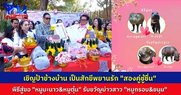 ป้าข้างบ้านเป็นพยานรัก พิธีมงคล สองคู่ชู้ชื่น “หมูขนุน&หมูกรอบ” คู่นี้เรือนหออยู่โคราช ส่วน “หมูมะนาว” สาวโคราช ส่งตัวไปเป็นสะใภ้เขาเขียว คู่ “หมูตุ๋น”