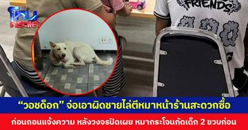 มูลนิธิวอชด็อก ไทยแลนด์ จ่อเอาผิดชายไล่ตีหมาหน้าร้านสะดวกซื้อ ก่อนถอนแจ้งความ หลังวงจรปิดเผย หมากระโจนกัดเด็ก 2 ขวบก่อน
