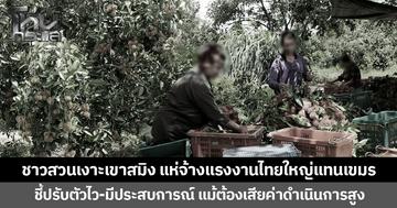ชาวสวนเงาะเขาสมิง แห่จ้างแรงงานไทยใหญ่แทนเขมร ชี้ปรับตัวไว-มีประสบการณ์ แม้ต้องเสียค่าดำเนินการสูง