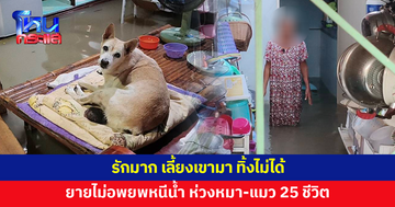 น้ำท่วมบ้าน ยายวัย 74 ขอไม่อพยพไปอยู่กับลูก ห่วงหมา-แมว 25 ชีวิต