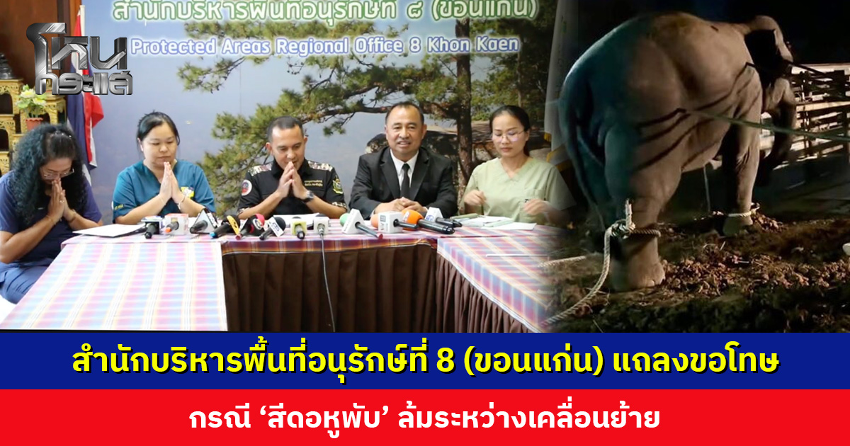 สำนักบริหารพื้นที่อนุรักษ์ที่ 8 (ขอนแก่น) แถลงขอโทษ ‘สีดอหูพับ’ ล้มระหว่างเคลื่อนย้าย แจงไทมไลน์เหตุการณ์
