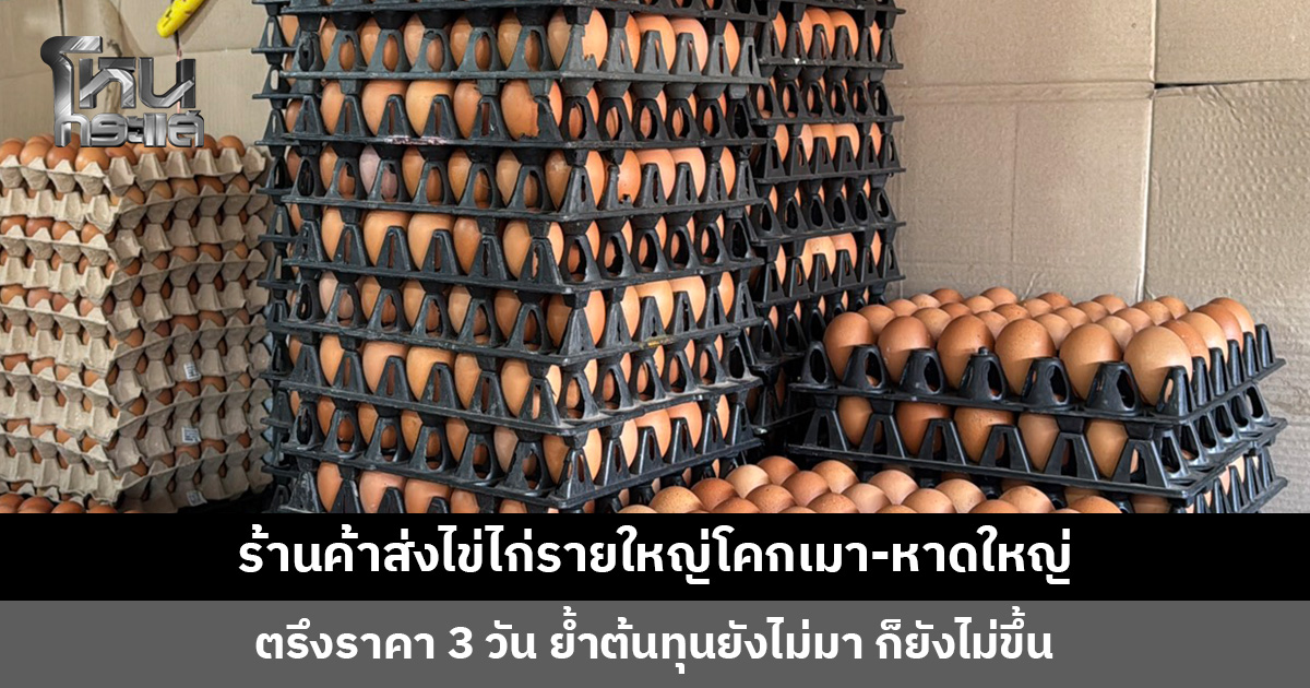 ร้านค้าส่งไข่ไก่รายใหญ่โคกเมา-หาดใหญ่ ประกาศตรึงราคาเดิม 3 วัน เพราะสั่งสต็อกไว้ล่วงหน้า